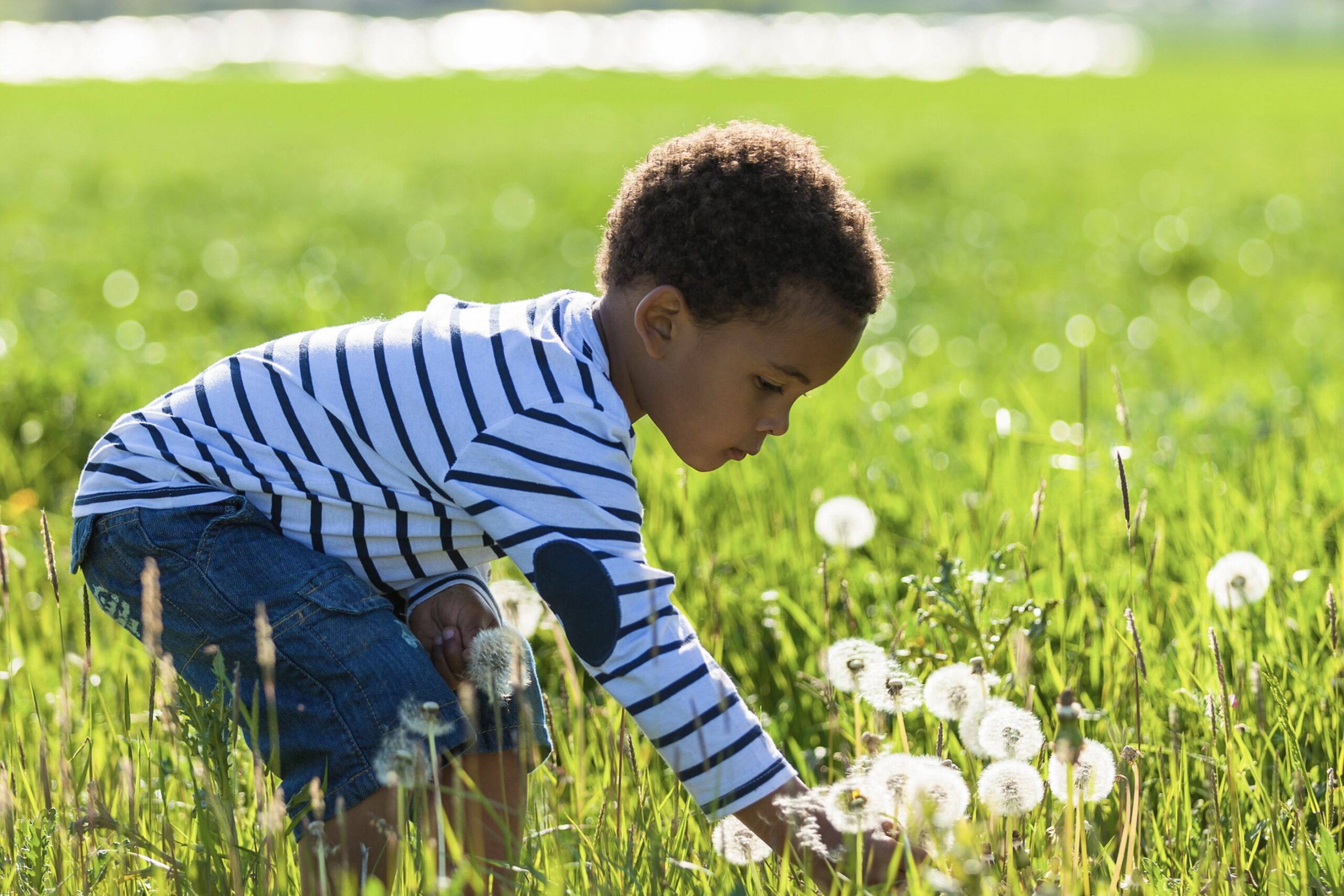 Sniffles, Sneezes & Springtime: A Pediatrician’s Guide to Seasonal Allergies in Kids